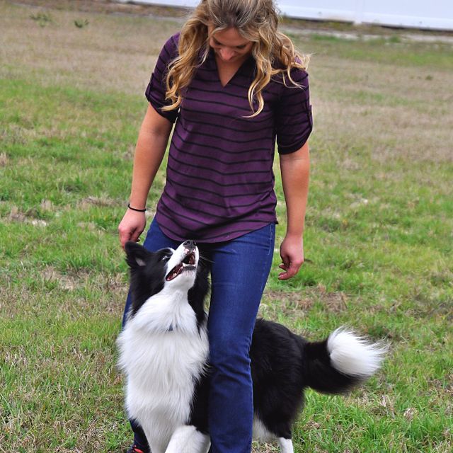Dog Training Classes Sowerby Bridge
