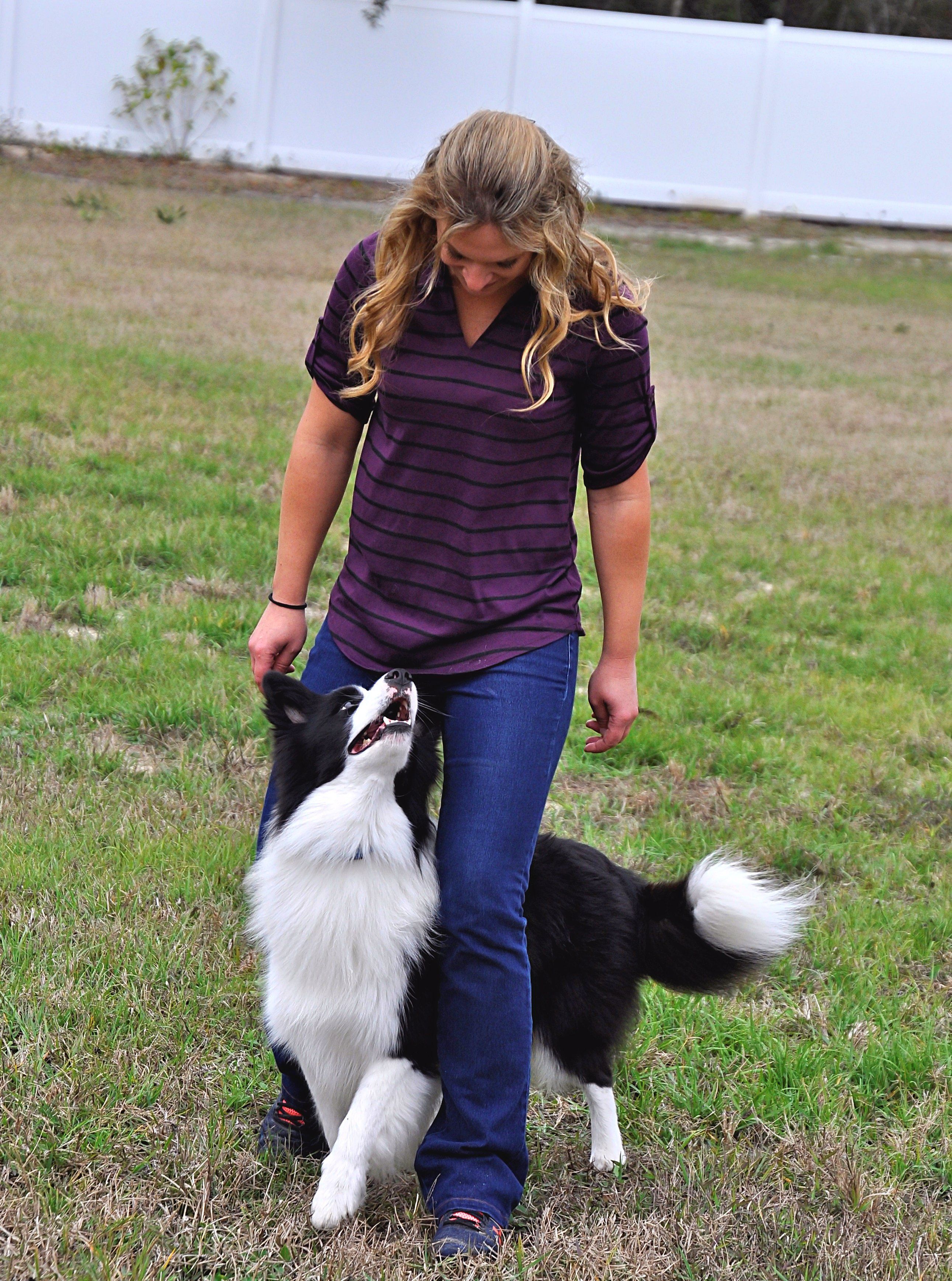 Dog Training Dog Classes Halifax, Huddersfield Social behaviour