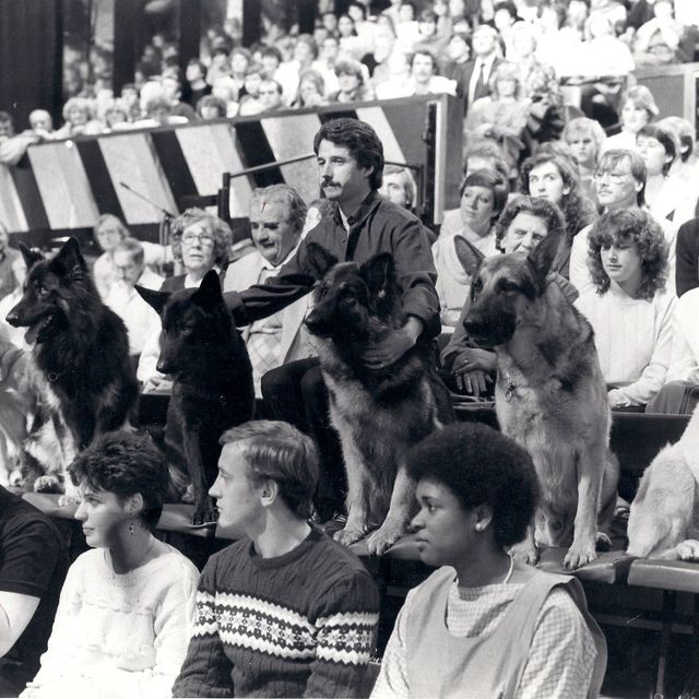 Puppy Classes Brighouse