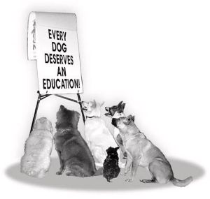 Dog Training, Halifax, Elland, Brighouse, Huddersfield