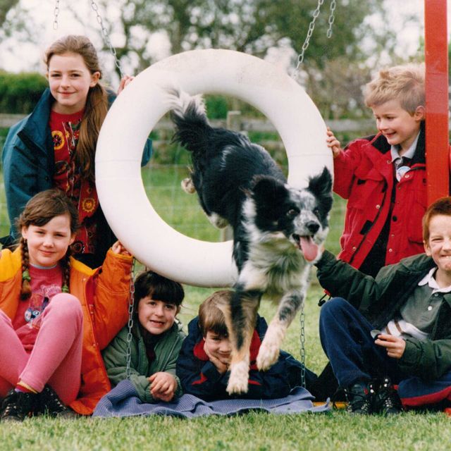 Puppy Classes Sowerby Bridge