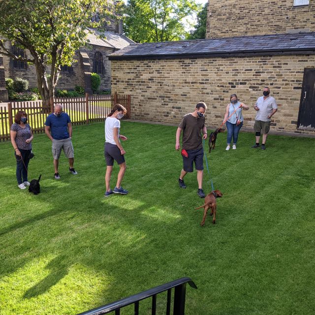 Puppy Classes Halifax