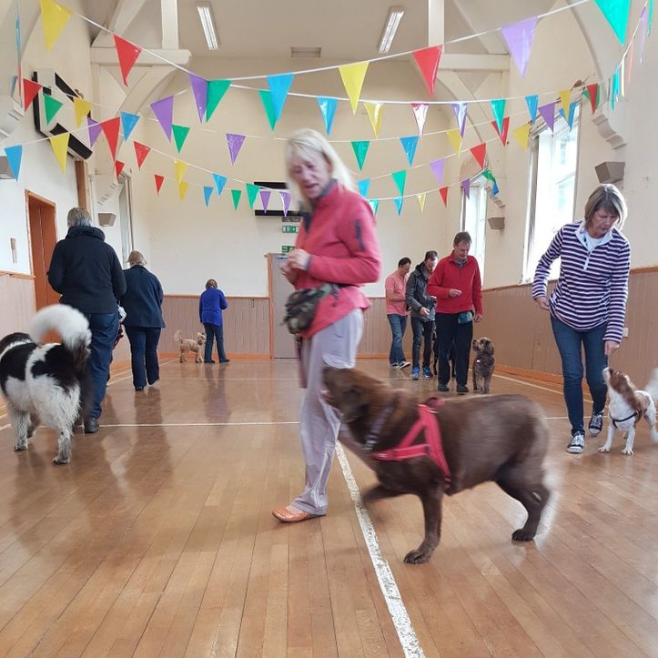 Dog Training Classes Elland