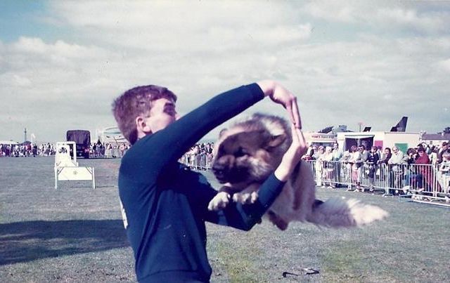Dog Training Halifax